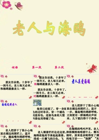 五年级语文下册 第2单元 9《老人与海鸥》课件5 语文S版-语文S版小学五年级下册语文课件