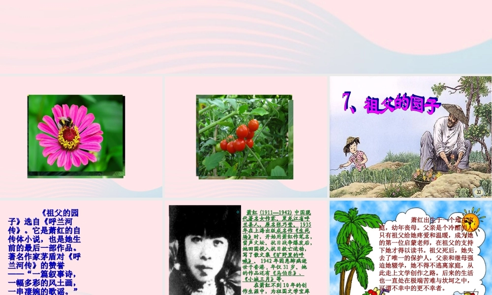 五年级语文下册 第二组 7 祖父的园子课件1 新人教版-新人教版小学五年级下册语文课件