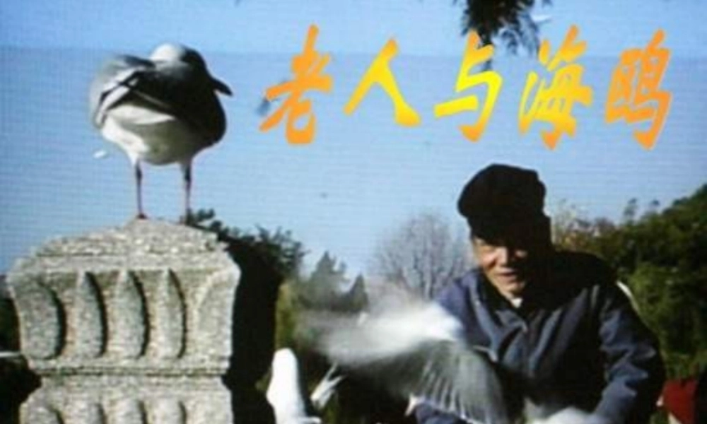 五年级语文下册 第2单元 9《老人与海鸥》课件6 语文S版-语文S版小学五年级下册语文课件