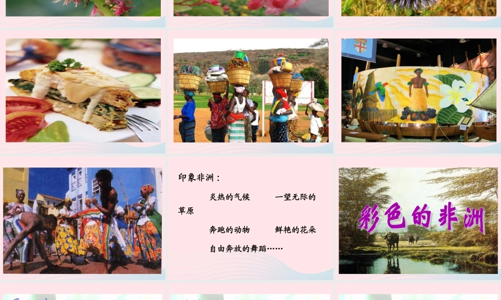 五年级语文下册 第八组 28彩色的非洲课件 新人教版-新人教版小学五年级下册语文课件