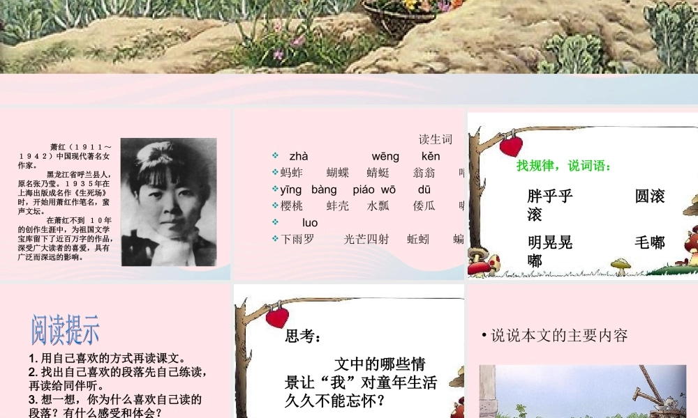 五年级语文下册 第二组 7 祖父的园子课件2 新人教版-新人教版小学五年级下册语文课件