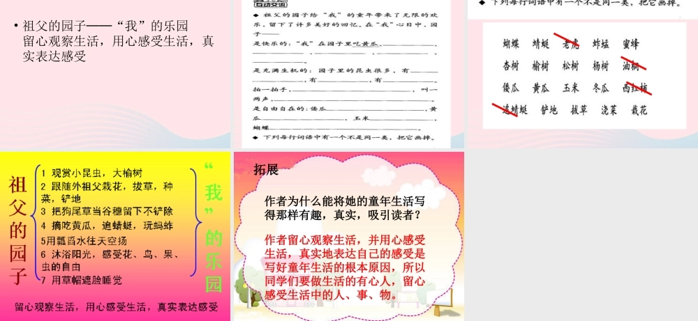 五年级语文下册 第二组 7 祖父的园子课件2 新人教版-新人教版小学五年级下册语文课件