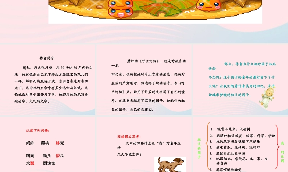 五年级语文下册 第二组 7 祖父的园子课件3 新人教版-新人教版小学五年级下册语文课件