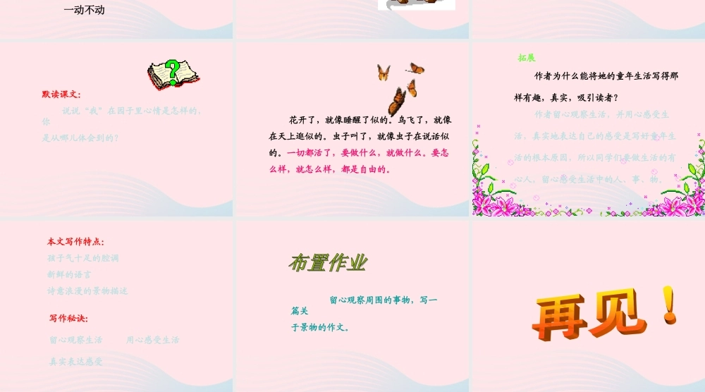 五年级语文下册 第二组 7 祖父的园子课件3 新人教版-新人教版小学五年级下册语文课件