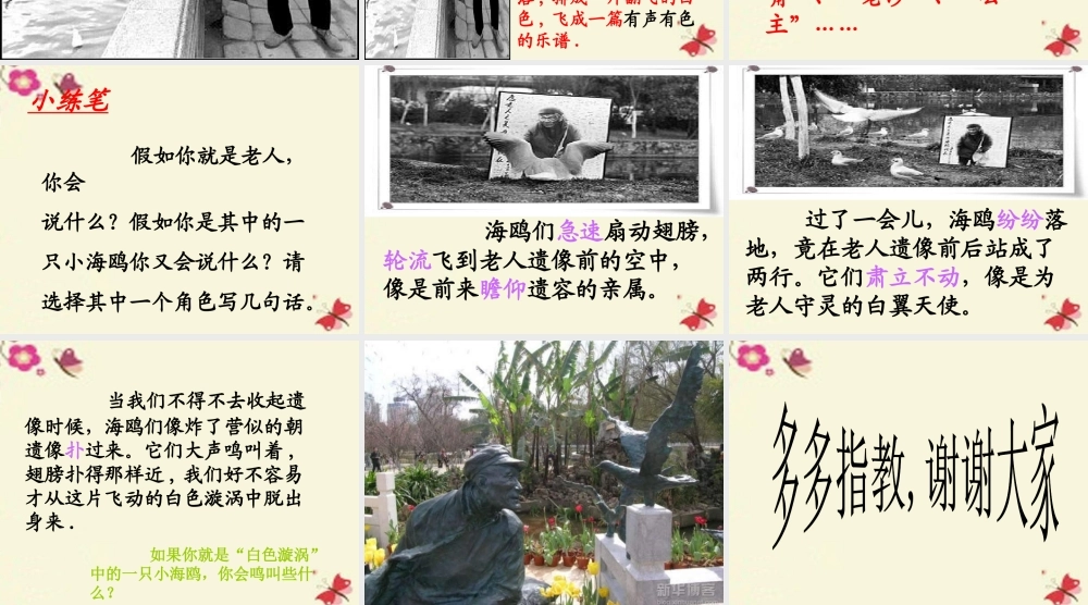 五年级语文下册 第2单元 9《老人与海鸥》课件8 语文S版-语文S版小学五年级下册语文课件