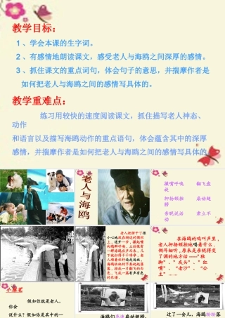 五年级语文下册 第2单元 9《老人与海鸥》课件8 语文S版-语文S版小学五年级下册语文课件