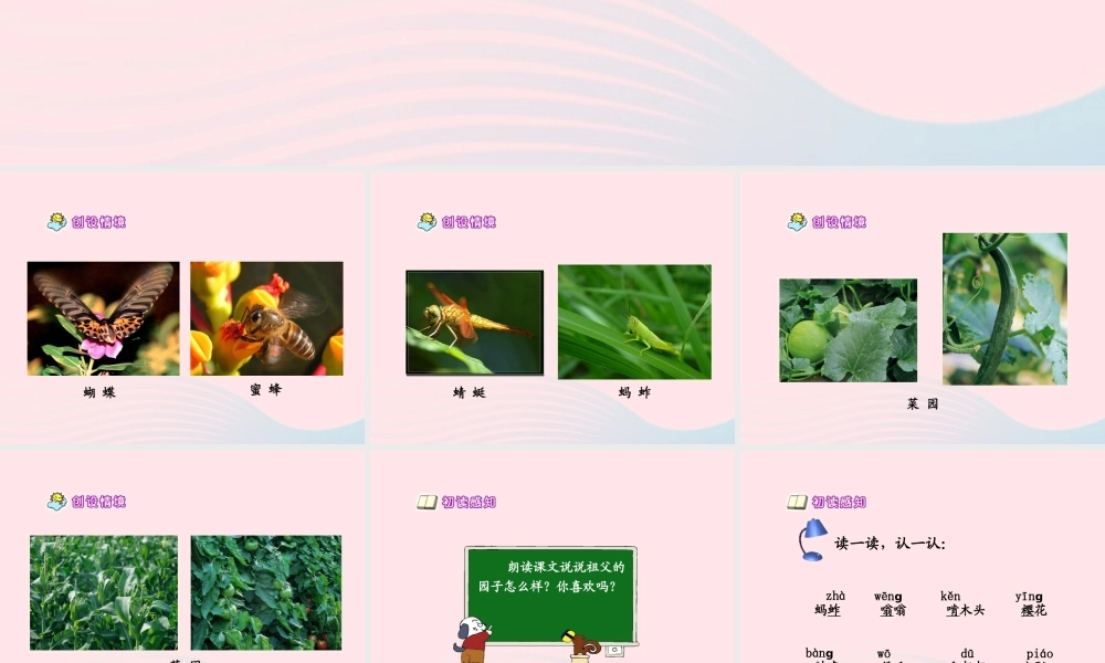 五年级语文下册 第二组 7 祖父的园子课件4 新人教版-新人教版小学五年级下册语文课件