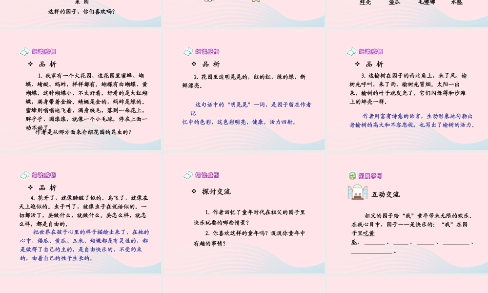 五年级语文下册 第二组 7 祖父的园子课件4 新人教版-新人教版小学五年级下册语文课件