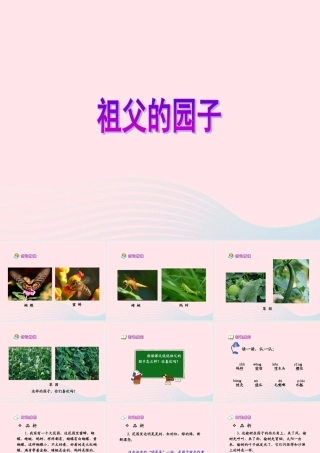 五年级语文下册 第二组 7 祖父的园子课件4 新人教版-新人教版小学五年级下册语文课件