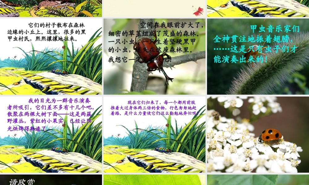 五年级语文下册 第2单元 10《草虫的村落》课件1 语文S版-语文S版小学五年级下册语文课件