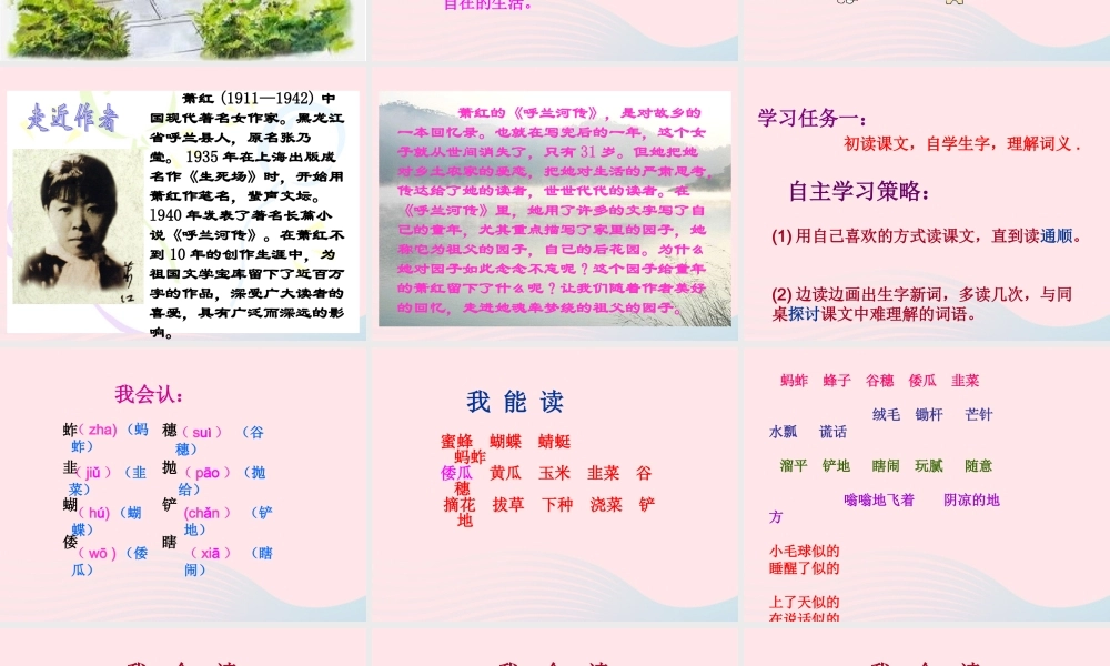 五年级语文下册 第二组 7《祖父的园子》课件 新人教版-新人教版小学五年级下册语文课件