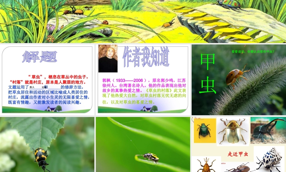 五年级语文下册 第2单元 10《草虫的村落》课件2 语文S版-语文S版小学五年级下册语文课件