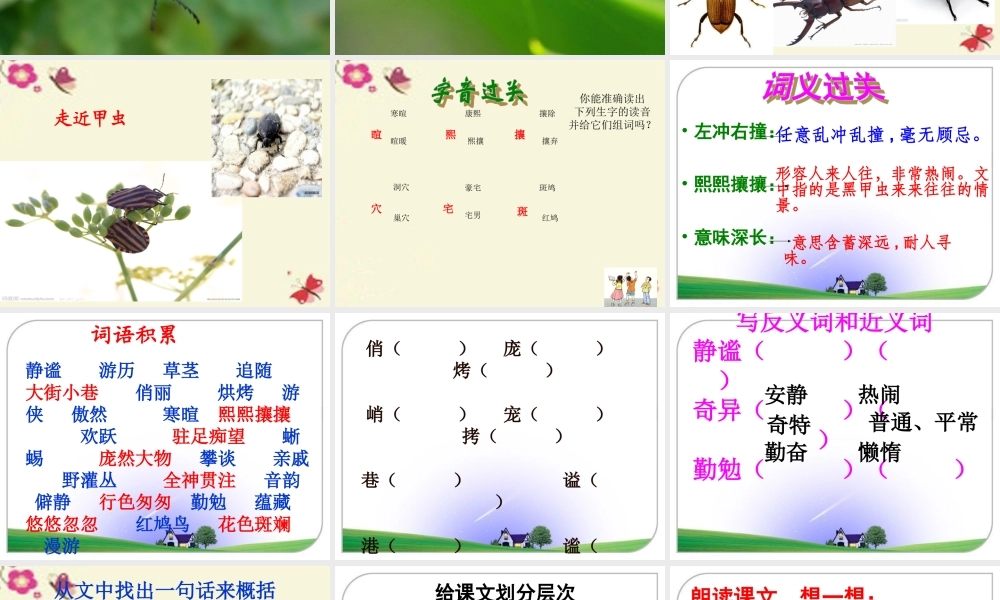 五年级语文下册 第2单元 10《草虫的村落》课件2 语文S版-语文S版小学五年级下册语文课件