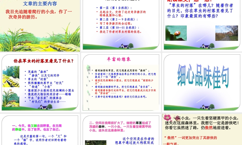 五年级语文下册 第2单元 10《草虫的村落》课件2 语文S版-语文S版小学五年级下册语文课件