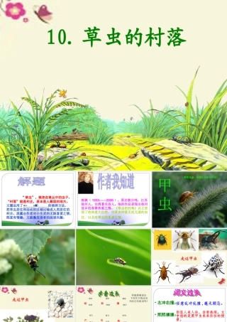 五年级语文下册 第2单元 10《草虫的村落》课件2 语文S版-语文S版小学五年级下册语文课件