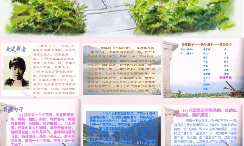 五年级语文下册 第二组 7《祖父的园子》课堂教学课件1 新人教版-新人教版小学五年级下册语文课件
