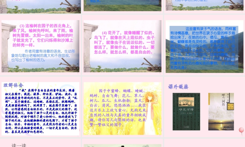 五年级语文下册 第二组 7《祖父的园子》课堂教学课件1 新人教版-新人教版小学五年级下册语文课件