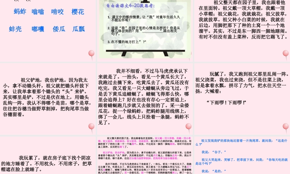 五年级语文下册 第二组 7《祖父的园子》课堂教学课件1 新人教版-新人教版小学五年级下册语文课件