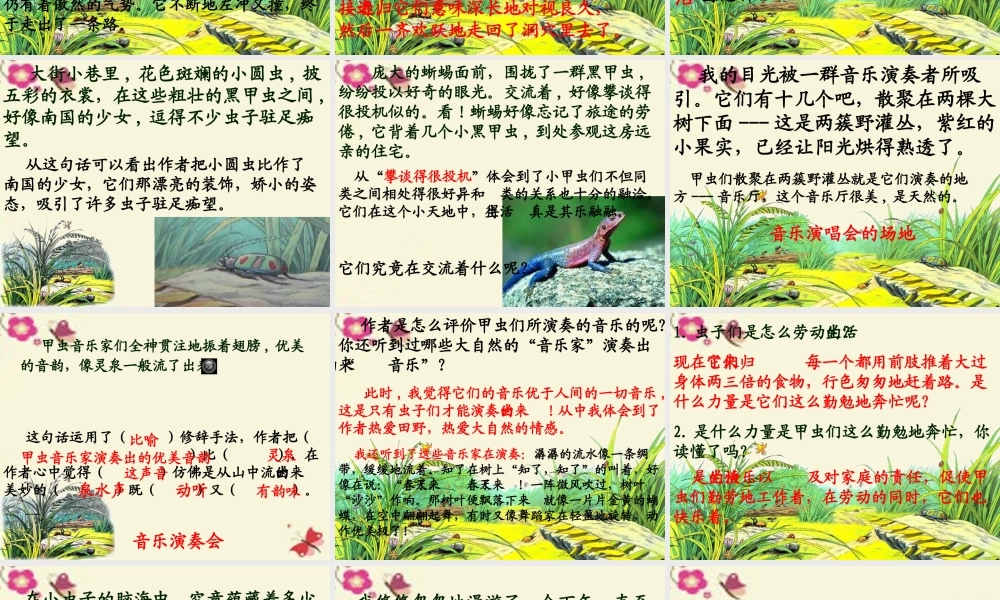 五年级语文下册 第2单元 10《草虫的村落》课件3 语文S版-语文S版小学五年级下册语文课件