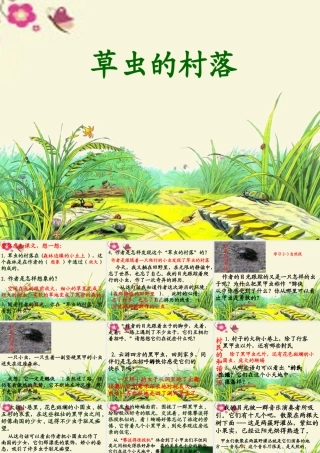 五年级语文下册 第2单元 10《草虫的村落》课件3 语文S版-语文S版小学五年级下册语文课件