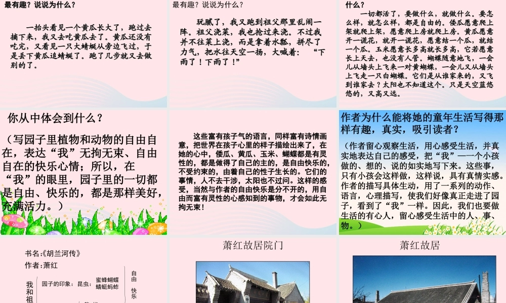 五年级语文下册 第二组 7《祖父的园子》课堂教学课件2 新人教版-新人教版小学五年级下册语文课件