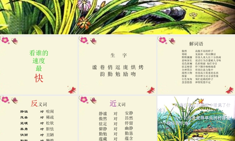 五年级语文下册 第2单元 10《草虫的村落》课件4 语文S版-语文S版小学五年级下册语文课件