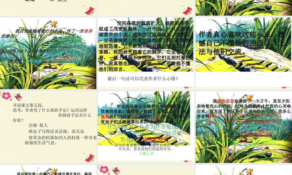五年级语文下册 第2单元 10《草虫的村落》课件4 语文S版-语文S版小学五年级下册语文课件