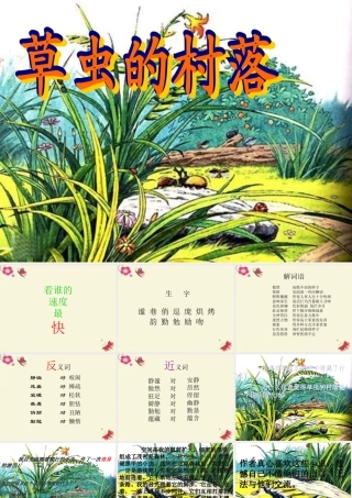 五年级语文下册 第2单元 10《草虫的村落》课件4 语文S版-语文S版小学五年级下册语文课件
