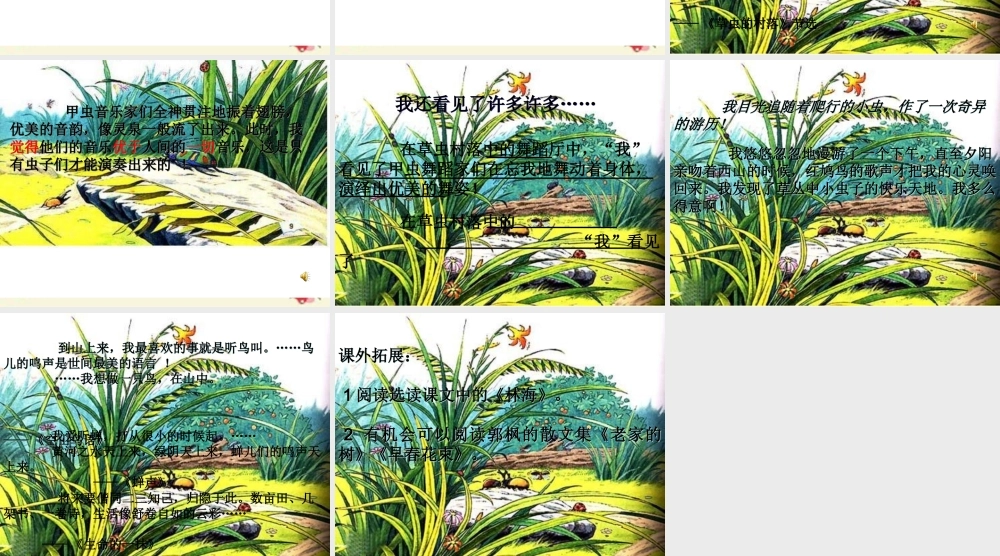 五年级语文下册 第2单元 10《草虫的村落》课件5 语文S版-语文S版小学五年级下册语文课件