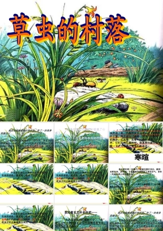 五年级语文下册 第2单元 10《草虫的村落》课件5 语文S版-语文S版小学五年级下册语文课件