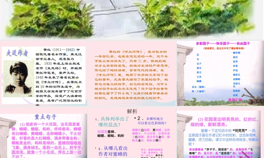 五年级语文下册 第二组 7《祖父的园子》课堂教学课件3 新人教版-新人教版小学五年级下册语文课件