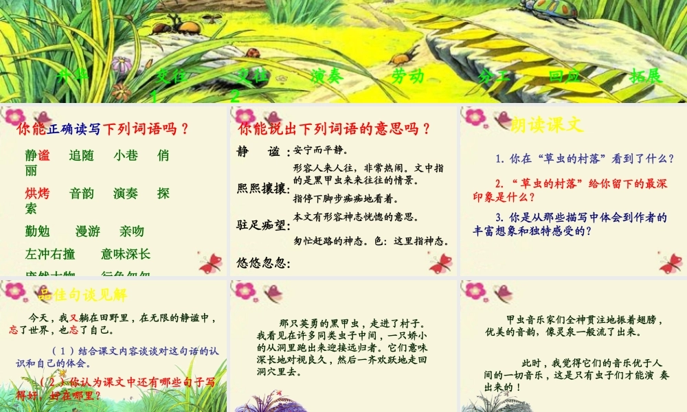 五年级语文下册 第2单元 10《草虫的村落》课件6 语文S版-语文S版小学五年级下册语文课件
