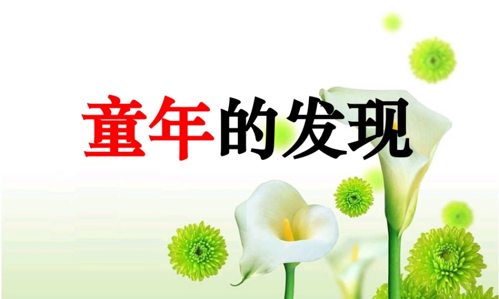 五年级语文下册 第二组 8 童年的发现教学课件1 新人教版-新人教版小学五年级下册语文课件