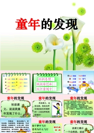 五年级语文下册 第二组 8 童年的发现教学课件1 新人教版-新人教版小学五年级下册语文课件