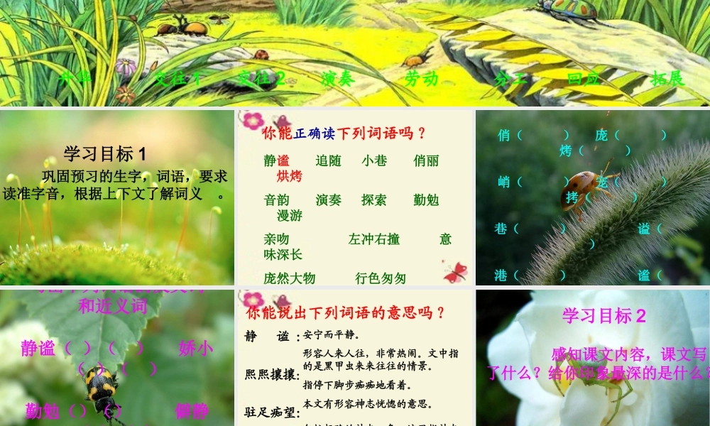 五年级语文下册 第2单元 10《草虫的村落》课件7 语文S版-语文S版小学五年级下册语文课件