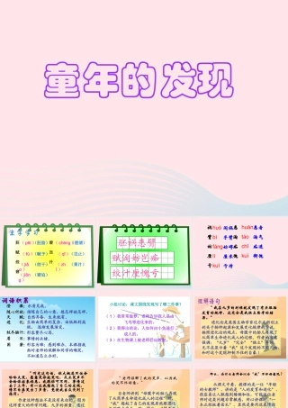 五年级语文下册 第二组 8 童年的发现教学课件2 新人教版-新人教版小学五年级下册语文课件