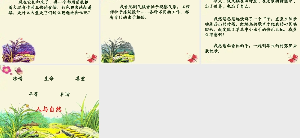 五年级语文下册 第2单元 10《草虫的村落》课件8 语文S版-语文S版小学五年级下册语文课件