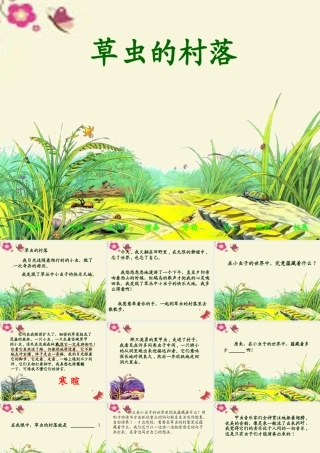 五年级语文下册 第2单元 10《草虫的村落》课件8 语文S版-语文S版小学五年级下册语文课件