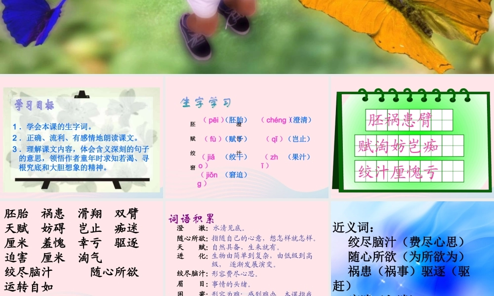 五年级语文下册 第二组 8 童年的发现课件 新人教版-新人教版小学五年级下册语文课件
