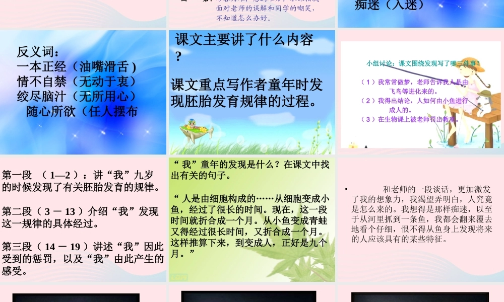 五年级语文下册 第二组 8 童年的发现课件 新人教版-新人教版小学五年级下册语文课件