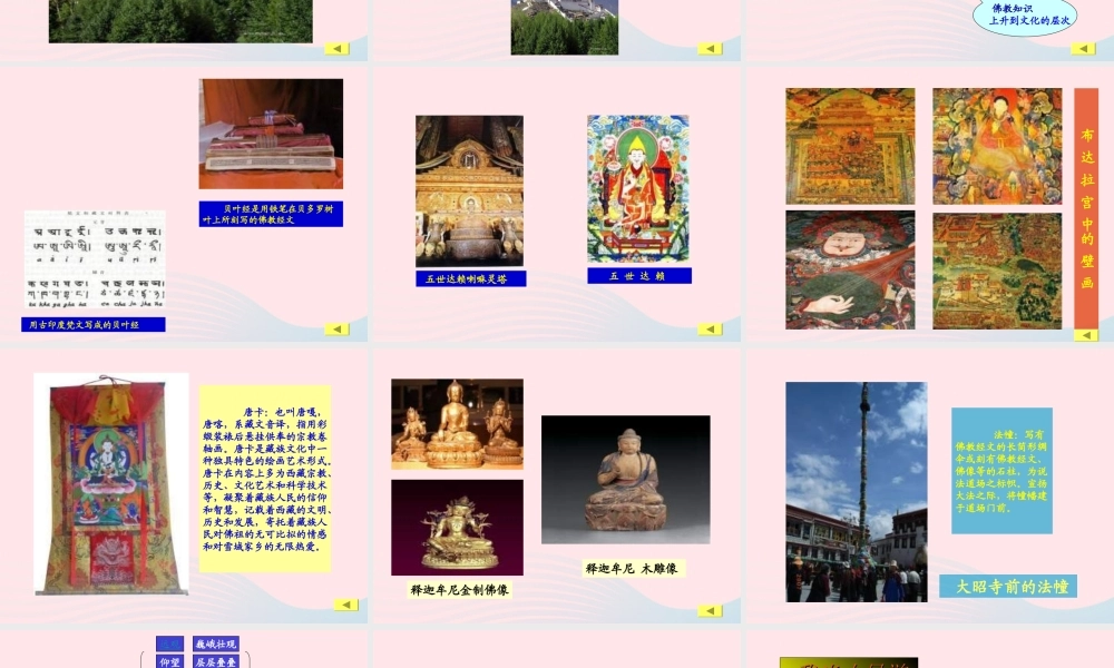 五年级语文上册 第六单元 30《布达拉宫》精品课件 冀教版-冀教版小学五年级上册语文课件