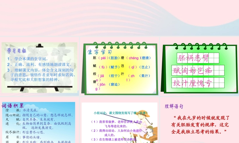 五年级语文下册 第二组 8 童年的发现课件2 新人教版-新人教版小学五年级下册语文课件