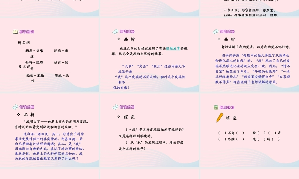 五年级语文下册 第二组 8 童年的发现课件3 新人教版-新人教版小学五年级下册语文课件