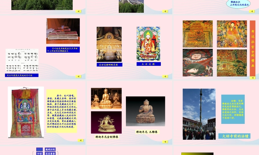 五年级语文上册 第六单元 30《布达拉宫》课件 冀教版-冀教版小学五年级上册语文课件