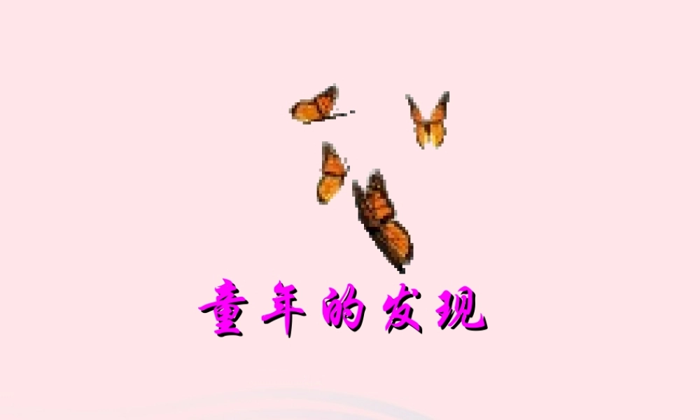 五年级语文下册 第二组 8 童年的发现课件4 新人教版-新人教版小学五年级下册语文课件