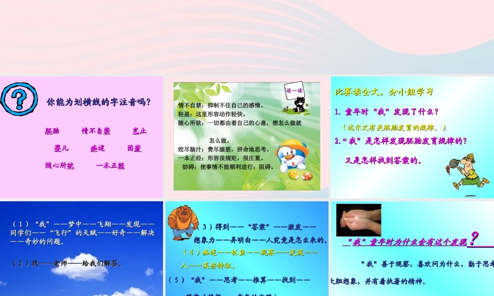 五年级语文下册 第二组 8 童年的发现课件4 新人教版-新人教版小学五年级下册语文课件