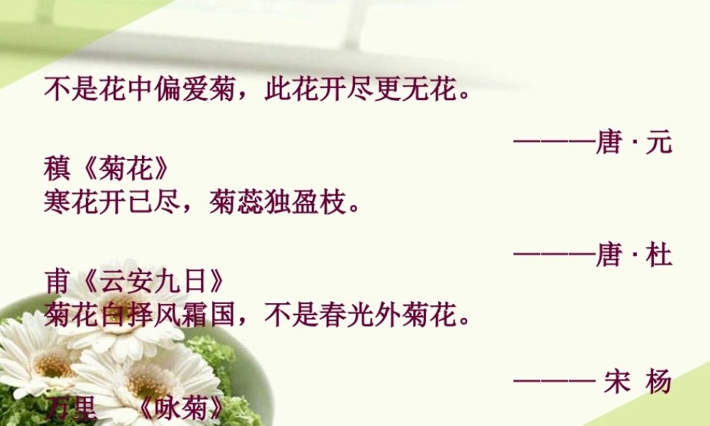 五年级语文上册《傲霜篇》课件1 语文A版-语文A版小学五年级上册语文课件