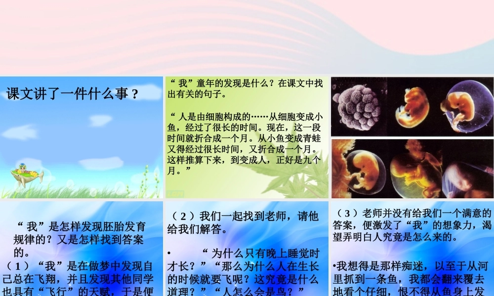 五年级语文下册 第二组 8 童年的发现课件5 新人教版-新人教版小学五年级下册语文课件
