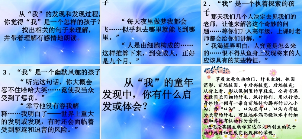 五年级语文下册 第二组 8 童年的发现课件5 新人教版-新人教版小学五年级下册语文课件