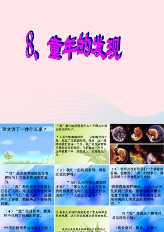 五年级语文下册 第二组 8 童年的发现课件5 新人教版-新人教版小学五年级下册语文课件